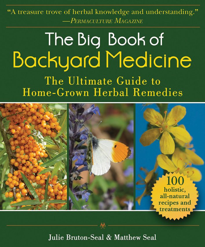 Big Book Of Backyard Medicine Book