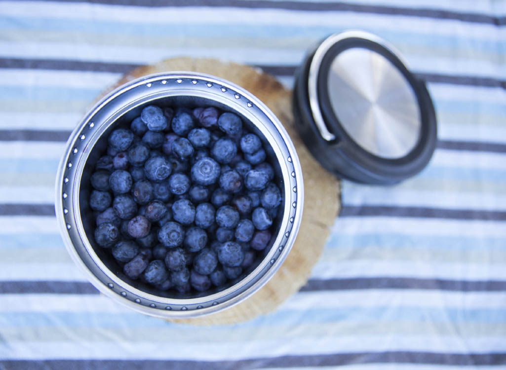 Klean Kanteen 473ml TKCanister Insulated Food Container