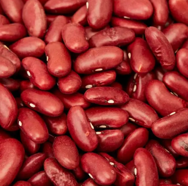 2.65kg Canned Red Kidney Beans