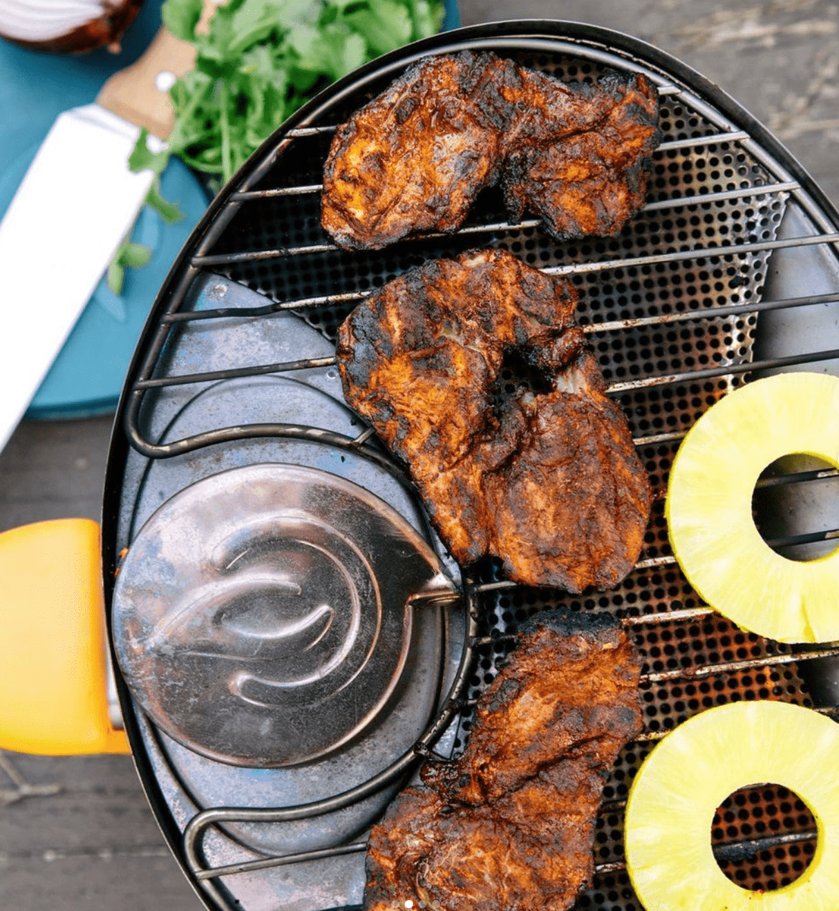 Biolite Campstove Portable Grill