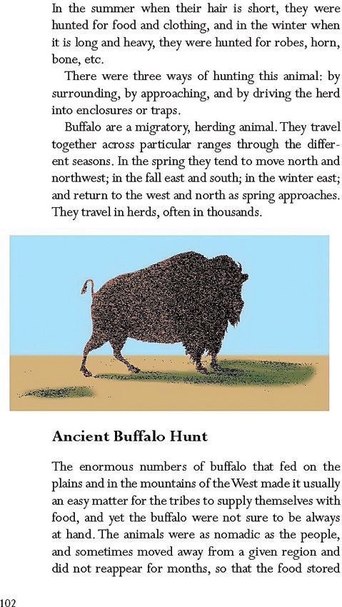 Survival Skills of Native Amer Book