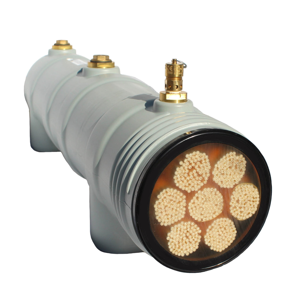 LifeSaver C1 Water Purifier - 500,000 L Capacity