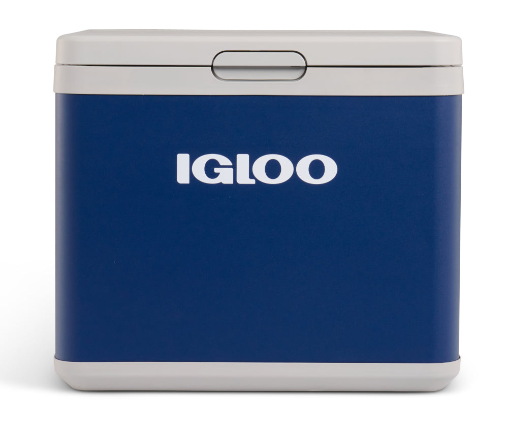 Igloo Insulating Tumbler 20oz - Flamingo