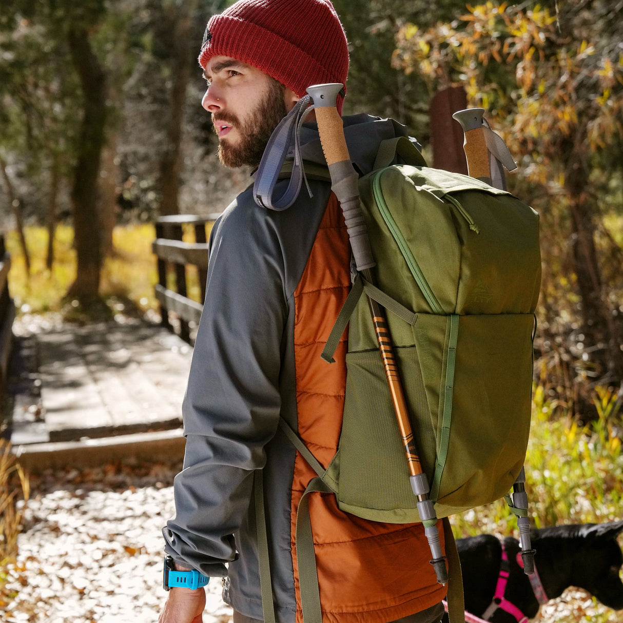 Kelty Asher 24L Backpack Bag - Winter Moss